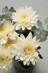 Off white asters with green branches