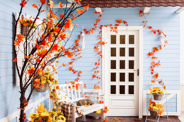 Yard of country house with tiling roof, blue wooden walls