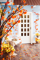 Marple tree with orange leaves on the yard of cozy blue wooden h