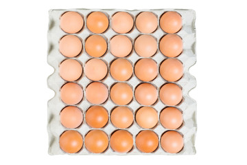 Eggs on tray isolated on white background. Hen eggs.