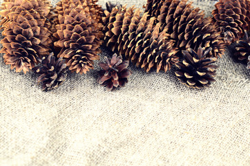 Pine and spruce cones on sackcloth