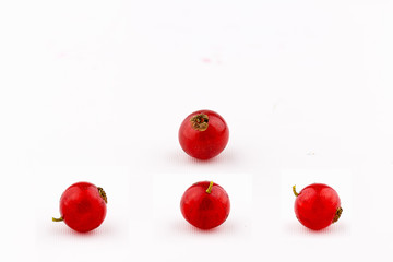 set red currant isolated 4 section on white background