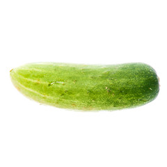Cucumber isolated on white background