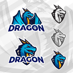 Creative dragon logo template. Sport mascot design. College league insignia, Asian beast sign, Dragons illustration, Football poster.