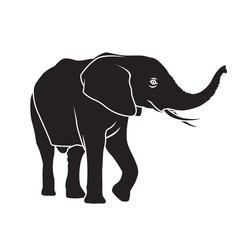 Fototapeta premium Elephant silhouette