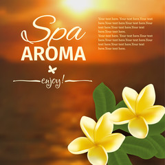 Spa concept with blurred seaside background and realistic vector frangipani