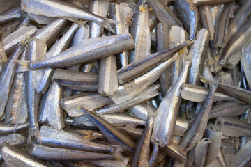 Fresh fish for sale at the seafood market.