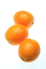 ネーブルオレンジ