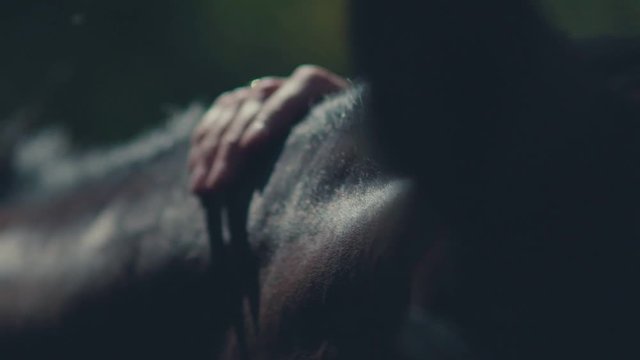 Horse mane. Woman's hand stroking the horse. Muzzle of a horse.