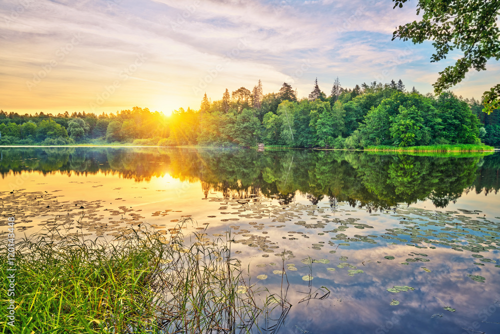 Wall mural Calm sunrise over forest lake