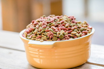 Dogs food