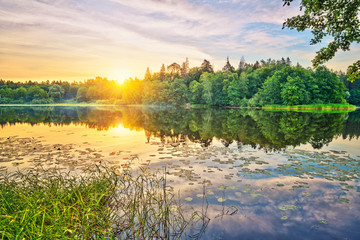 Calm sunrise over forest lake