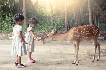 Two asian little girls feeding deer in the zoo
