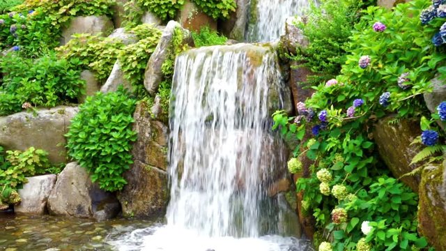 滝と紫陽花（自然・汎用・植物・パン）