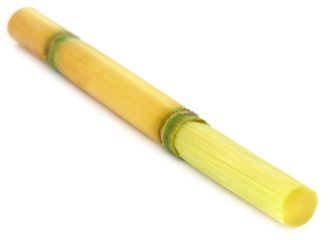 Closeup of sugarcane
