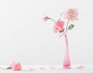 Pink roses in vase on white background