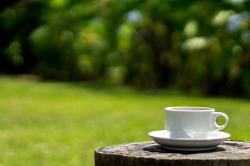 Retro style or Vintage Style,  Coffee cup Put on a stump or wood table in the garden sunny morning.