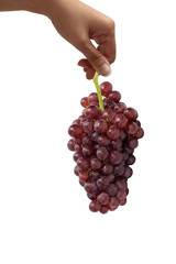 Grapes ,red  grapes bunch isolated on white background ,
Hand holding a bunch of red grapes