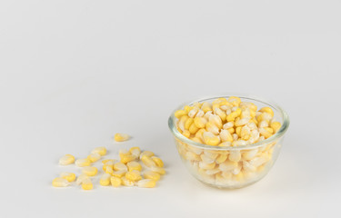 Corn isolated on a white background