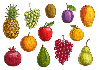 Tropical and exotic fruits isolated icons