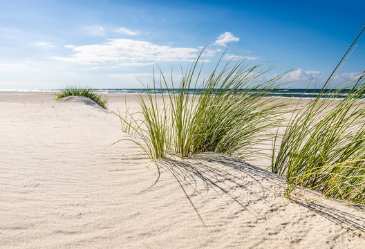 Fototapeta Mrzeżyno, plaża