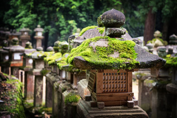 Moss covered lanterns