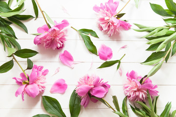 Fototapeta na wymiar Bright pink peonies on white wooden background. Fresh summer floral background with copy space. Top view, flat lay