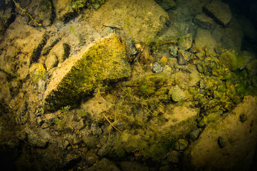 At the bottom of the river