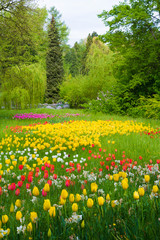 Obraz premium Many different tulips in the spring park of Mainau island