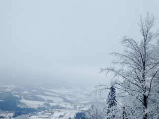 frost in the mountains made a magical forest