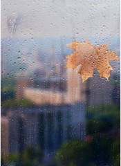 Autumn, rainy city through a window with raindrops. autumnal mood.