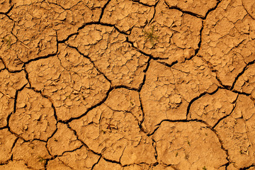 Dry soil with cracked surface