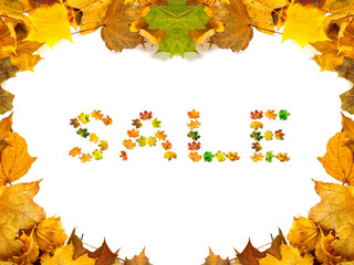 Autumn maple-leafs background with word SALE composed of autumna