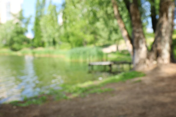 Blurred view of the pond