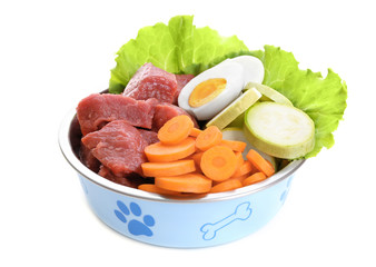 Healthy dog food, isolated on white