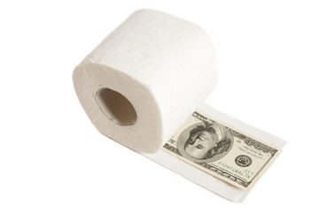 One hundred dollars in toilet paper