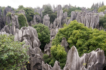 Stone forest in Kunming, China