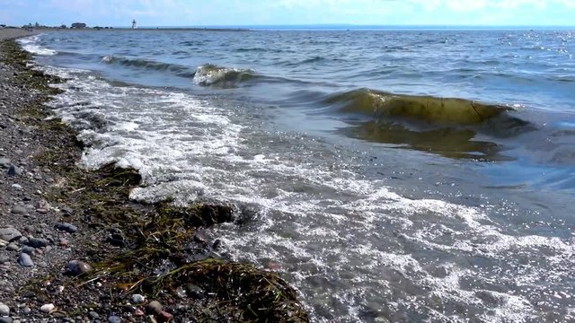 Sea Shores Waves and Algae in Slow Motion