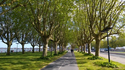 Quais de bordeaux