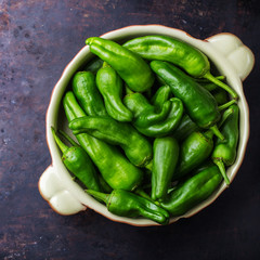 Raw green peppers pimientos de padron traditional spanish tapas