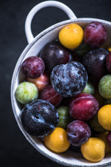 ripe colorful plums from orchand