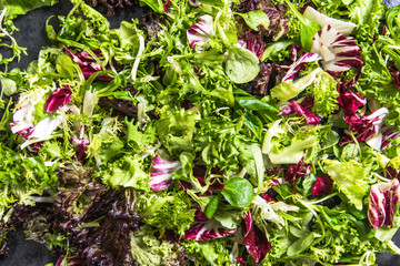 mixed salad close up view