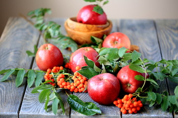 Red apples - new autumn harvest