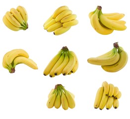 collection of    bananas cluster. Isolated on white background
