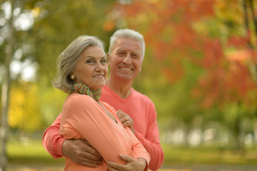 Fototapeta premium Senior couple in autumn park