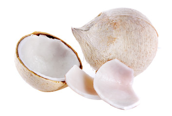 coconut on white background