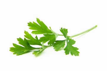 green parsley