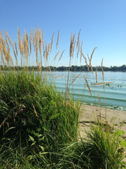 blue river, sky and green grass