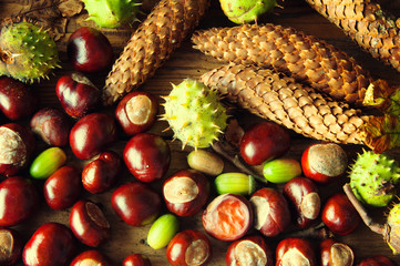 Chestnuts, acorns, withered leaves and cones. Top view