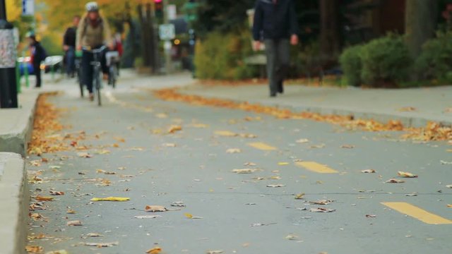 Selective Focus of Bike Path and People Bicycling in Autumn